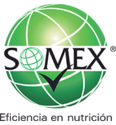 somex logo